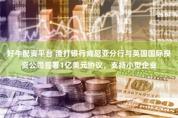 好牛配资平台 渣打银行肯尼亚分行与英国国际投资公司签署1亿美元协议，支持小型企业