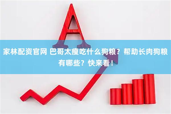 家林配资官网 巴哥太瘦吃什么狗粮？帮助长肉狗粮有哪些？快来看！
