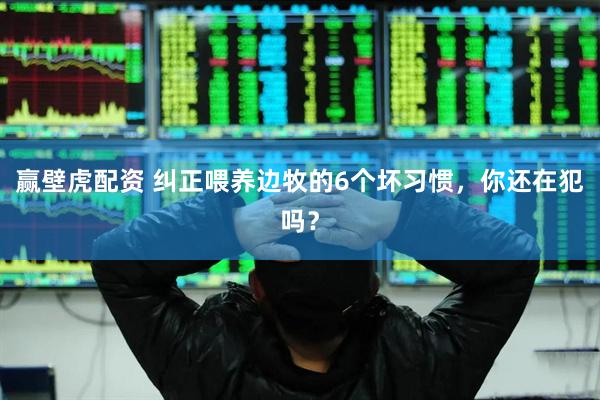 赢壁虎配资 纠正喂养边牧的6个坏习惯，你还在犯吗？