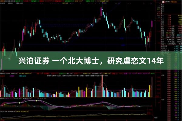 兴泊证券 一个北大博士，研究虐恋文14年